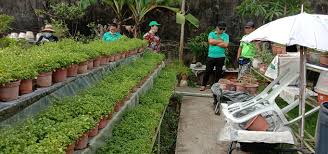 Untuk pemungutan pajak di indonesia terbagi menjadi tiga sistem yang biasa digunakan oleh negara kepada wajib pajak. Bayu Farm Sistem Pengairan Titis Nurseri Dbkk Aktiviti Facebook