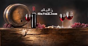 تفسير حلم شرب الخمر ورؤية الخمر في المنام وعدم شربه في الاحلام