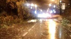 Non si registrano al momento casi di ferimento di persone in seguito al maltempo, mentre i danni sono svariati, in particolare alle auto in sosta. Ec67bepeeo 6mm