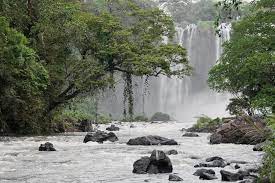 Catemaco is known for its parks and rainforest. Catemaco Lake And Los Tuxtlas Day Trip From Veracruz 2021