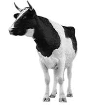 Cows Animated Images Gifs Pictures Animations 100 Free Cupcake animation gif art, gateaux, food, cartoon, desktop wallpaper png. cows animated images gifs