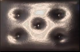 STUDENT GALLERY Line & Shape