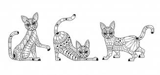 This page contains cat face coloring pages printable for adults for free download. Premium Vector Cute 3 Cats Coloring Page For Adults