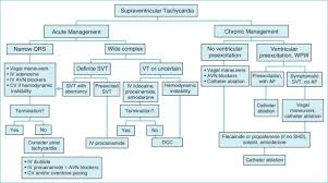 Supraventricular Tachyarrhythmias Thoracic Key