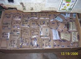 Image result for Eminia antennulifera