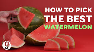 It provides hydration and also essential nutrients, including vitamins, minerals. How To Pick The Best Watermelon Every Time Grateful Youtube