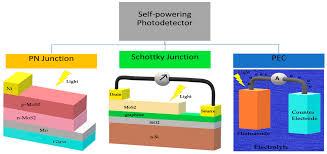 Maybe you would like to learn more about one of these? Materials Free Full Text Mos2 H Bn Graphene Heterostructure And Plasmonic Effect For Self Powering Photodetector A Review Html