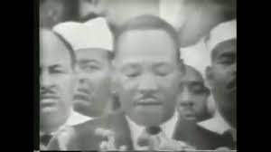 Amanda Dant for Albany