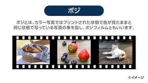 ポジ | 賢者の印刷用語集