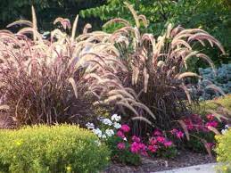 Sunny Garden Flower Garden Design Garden Design Flower Landscape
