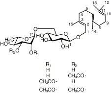 Image result for Eriocoelum microspermum