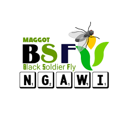 Pdf drive is your search engine for pdf files. Omah Maggot Bsf Ngawi Posts Facebook