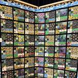 Biennial Northern Needles Quilting & Fiber Arts Showcase