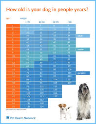 eye catching purina dog chart purina puppy chow feeding