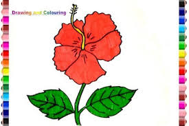 Gambar bunga matahari untuk mewarnai. Sepatu Gambar Bunga Yang Mudah Digambar Dan Berwarna