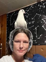 Is it normal for pigeons to be codependent and cuddle with their owners?