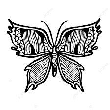 2.17gambar kupu kupu kartun hitam putih. 4441 Sketsa Kupu Kupu Berwarna Terbang Cantik Mudah Lengkap