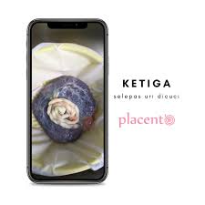 Proses membersihkan plasenta bayi cara mencuci plasenta bayi cuci membersihkan uri bayi / ari ari bayi #cuci #plasenta видео cara mencuci uri bayi sampai bersih канала bang yong. 7 Langkah Cuci Dan Tanam Uri Bayi Menurut Islam Placento