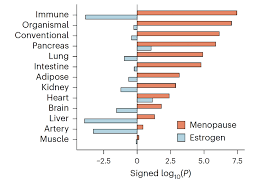 Image result for Estrogen