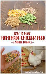 Homemade Chicken Feed Recipe The Prairie Homestead Chicken Feed Chickens Backyard Chicken Diy