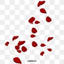 Tanabata Creative La Saint Valentin Glace Et Feu Coeur De Glace Fichier Png Et Psd Pour Le Telechargement Libre Flower Png Images Red Rose Petals Rose Illustration