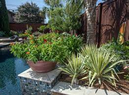 Maybe you would like to learn more about one of these? Pool Scape Beautiful Plants For Your Outdoor Oasis Roundtree Landscaping Dallas Plants Around Pool Landscaping Around Pool Tropical Backyard Landscaping