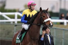 Maybe you would like to learn more about one of these? ç«¶é¦¬ ä¸€ç•ªå¯æ„›ã„ç«¶èµ°é¦¬ã¯ã‚¢ãƒ'ãƒ'ãƒ ã†ã¾é€Ÿ ç«¶é¦¬ã¾ã¨ã‚é€Ÿå ±