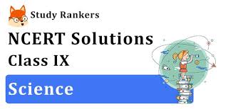 We did not find results for: Ncert Solutions For Class 9 Science