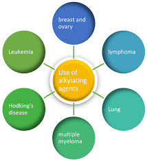 Image result for Alkylating Agent