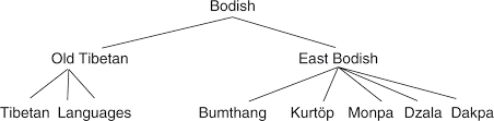 Tibetan Chapter 1 The Historical Phonology Of Tibetan