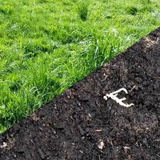 A thick layer of mulch used in garden beds and patios can be useful for helping to prevent weeds from growing. The Non Toxic Way I Killed All My Grass On Purpose Creative Green Living