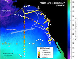 how radioactive is our ocean