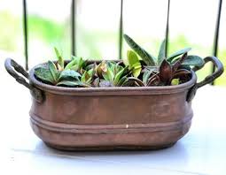 Visualizza altre idee su giardinaggio, piante, giardini di erbe. Creare Composizioni Con Le Piante Grasse Con Dei Semplici Vasetti Di Rame Piante Grasse Piante Giardinaggio Da Favola