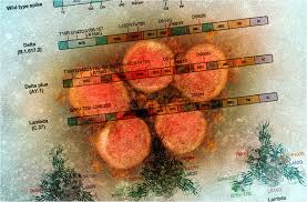 Maybe you would like to learn more about one of these? Study Compares Mrna And Adenovirus Based Sars Cov 2 Vaccines Against Variants Of Concern