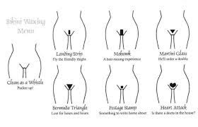 There are other venues to explore. The Advanced Guide To Getting Rid Of Your Pubic Hair