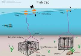 A contrivance for catching and holding animals, as a concealed pit or a clamplike device. Traps Australian Fisheries Management Authority