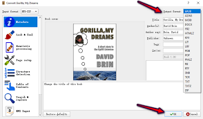 2020 Best Kindle Converter Review With How To Guide