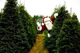 Pin Di Christmas Searchwallpaper