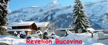 Oferta speciala revelion 2020, cazare la munte, servicii masa pensiune completa, demipensiune, mic dejun, cina festiva, complex turistic roua muntilor, satic, rucar. Prost Discriminare Cuvantare Cabane Munte Revelion Justan Net