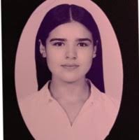 60+ "Garnica Sanchez" profiles