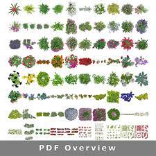 In general, anchoring a flower garden with perennials will help form the structure of the garden, and over time, they will fill in and gradually reduce the planting chores of filling in with annuals. Cutout Flower Top View Png Image Collection For Architects