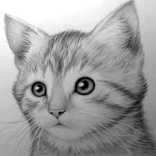 Kitten By Mark Crilley Goruntuler Ile Cizim Egitimleri Cizim Cizimler