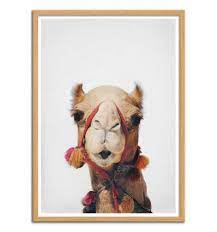 Press alt + / to open this menu. Art Poster Pop Culture Camel By Sisi And Seb