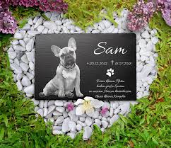 Hunde Erinnerung Im Garten Haustier Hunde Tiere