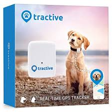 Note that trackers should be used in conjunction with microchips in a pet, not. 6 Best Dog Trackers In The Uk 2021 Dogreviews Pet Gps Trackers