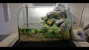 You can use a filter to do this, and place the inlet at the top of the waterfall. How To Make A Waterfall Aquaterrarium Youtube