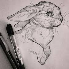 Image Shared By Darkchylde Find Images And Videos About Art Drawing And Bunny On We Heart It The App To Get Lost In What Animal Drawings Drawings Sketches