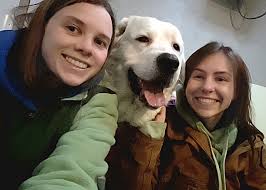 RESCUED: Hi all, it's me, Mellow!!! Whew!!! What a long strange trip it's  been. I was struggling in my old environment and had a date with a death  needle and a doctor