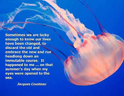 In my mind i' ma fighter, my heart's a lighter, my soul is the fluid. Fish Tank Quotes And Sayings
