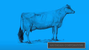 Global Economy Explained Through Two Cows Model Youtube